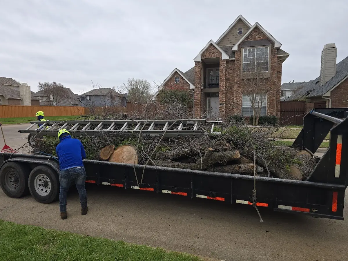 Expert Tree Pest Control with proper safety equipment in Esmont